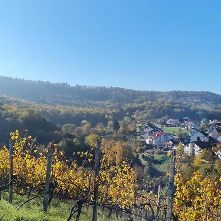 Unter Dem Schloss Lejlighed