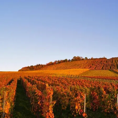 Unter Dem Schloss * Cleebronn