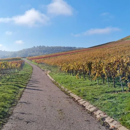 Unter Dem Schloss Lejlighed *