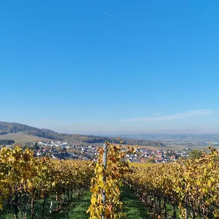 Lejlighed Unter Dem Schloss *