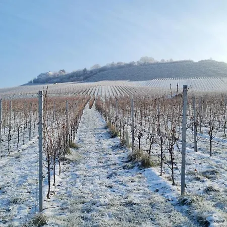 Lejlighed Unter Dem Schloss *