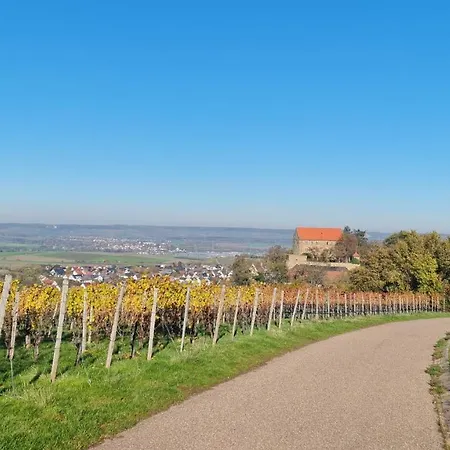 Unter Dem Schloss Cleebronn